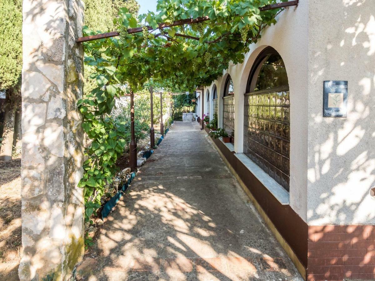 Apartman Jasmina Pula Exteriér fotografie